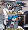 Sergal Cheese Sandwich Meme.jpg