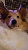 IMG_3293.jpeg