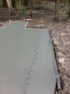 ducktracks.jpg