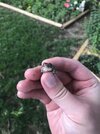 99F09453-4531-40AE-9638-53A9646C643C.jpeg