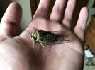 88772991-6C3D-4508-840D-8107F4DA0941.jpeg