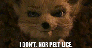 1000035642.gif