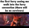 images (1).jpeg