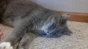 IMG_20251005_121252.jpg