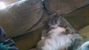 IMG_20251022_185218.jpg