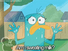 perry-the-platypus-am-i-sweating-milk-idf70ox0uwptc27b-1140534945.gif