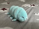 tardigrade.jpg tardigrade.jpg