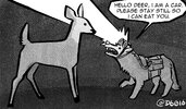 Deer tricks.jpg