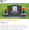 1778030981816.png