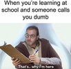 learning-at-school-and-someone-calls-dumb-s-why-here.jpg