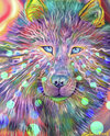 psychedelic-dog-stephanie-analah.jpg