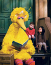 2024-03-27 12_36_48-big bird - Google Search.png