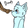Drake - Booping a YCH.png