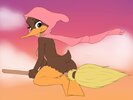 Witchy Duck.jpg
