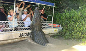 Australia-crocodile-tourist-boat-video-824483.jpg
