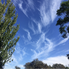 2024-06-03 14_34_15-Cirrus - Cloud Appreciation Society.png