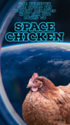 Space Chicken.png