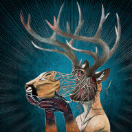 Rune