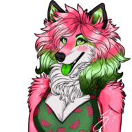 WatermelonCollie