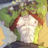 American Furry